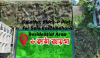 6 Katha,Block-P Plots for Sale Bashundhara Residential Area.
